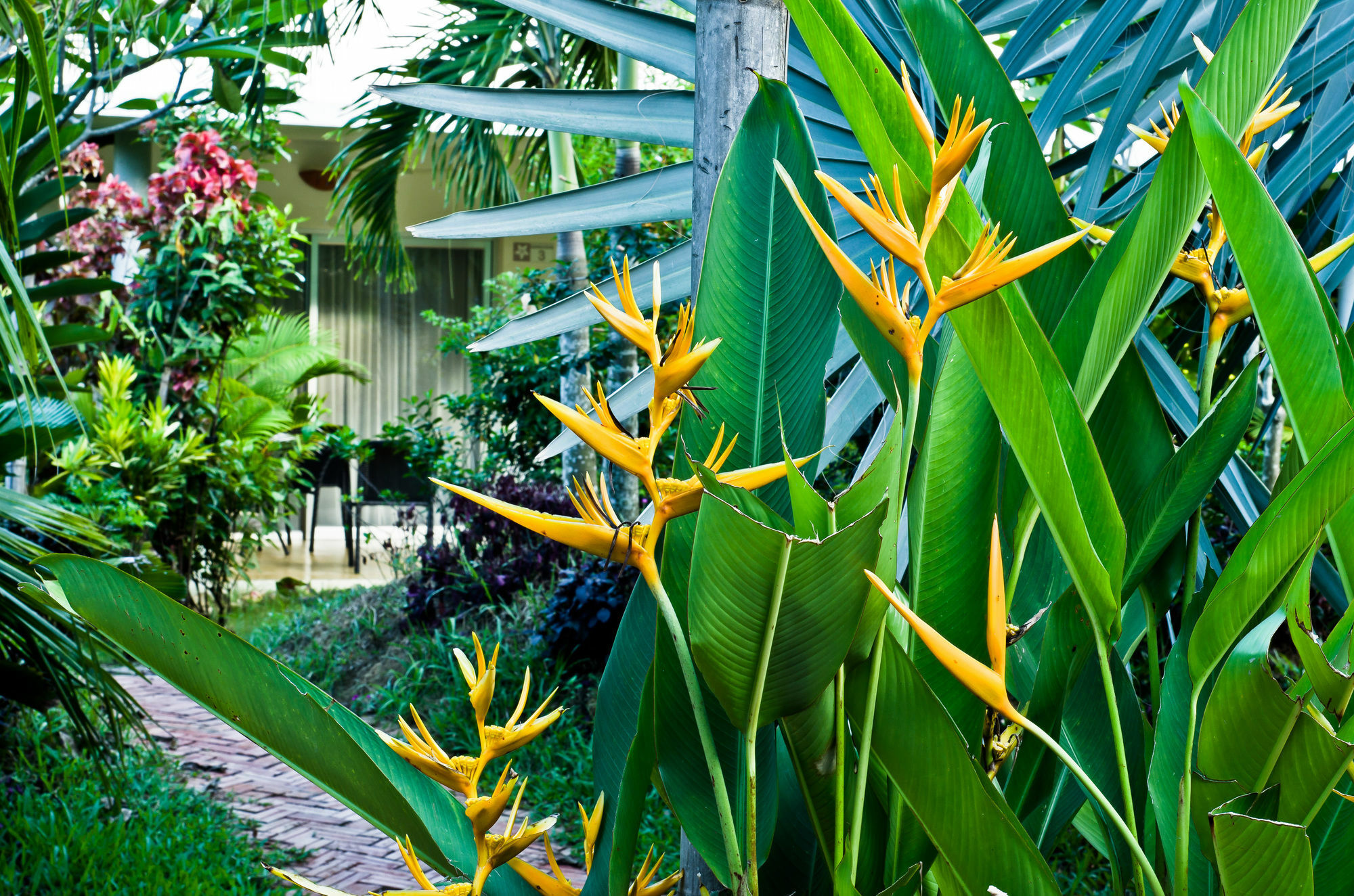 Battambang Resort מראה חיצוני תמונה